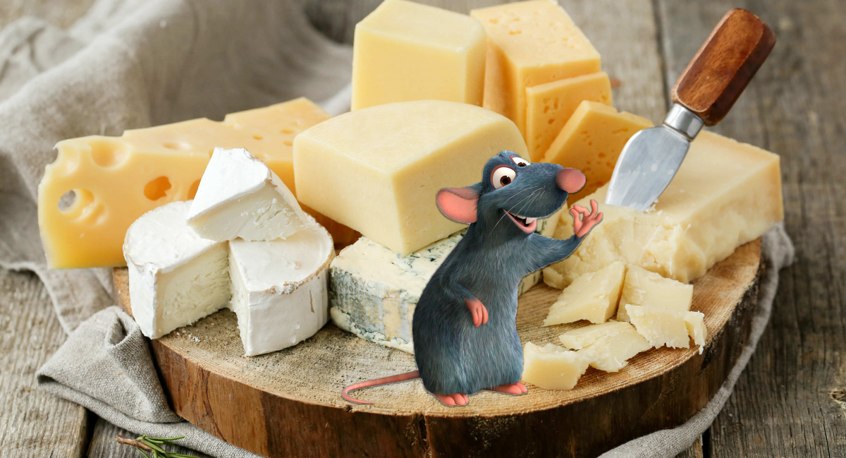 Сыр без ферментов. Сыр - фермент из лисичек. Почему на сыре волосы. Что такое животное прохождение на сир. Посемуна сыре пишут продукт.