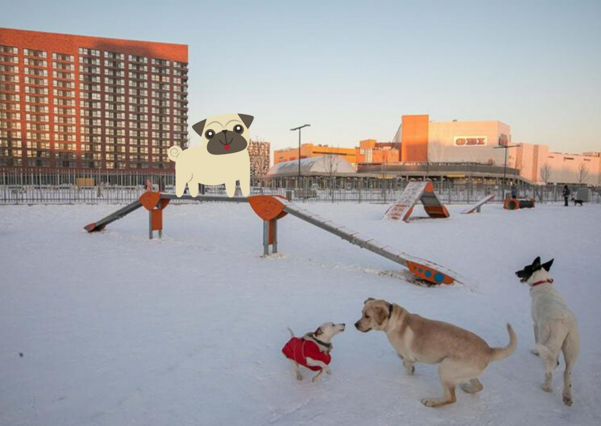 Гулять с собаками москва. Собачья площадка Борисовские пруды. Собачьи площадки в Чебоксарах. Парк для собак Тюмень. Выгульная площадка для собак в Москве.
