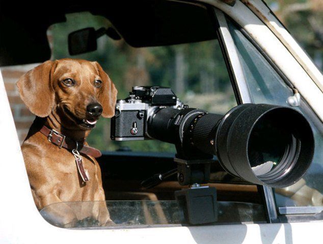 Конкурс «Лучшие фотографы России»: идет прием фотографий Конкурс «Лучшие фотографы России»: идет прием фотографий
