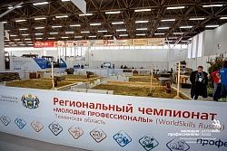 WorldSkills Russia Tyumen - 2017 (первый день)